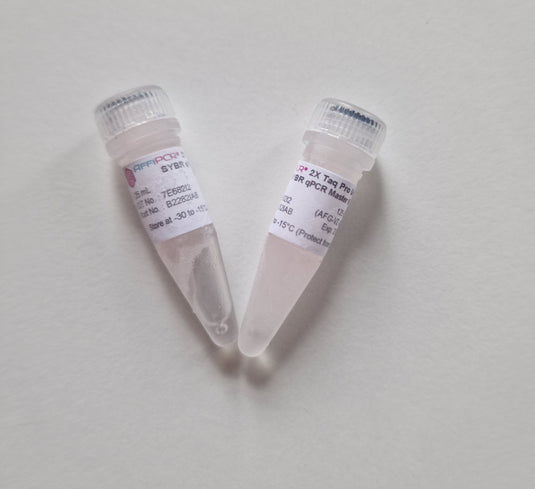 AffiPCR® Taq Universal SYBR qPCR Master Mix