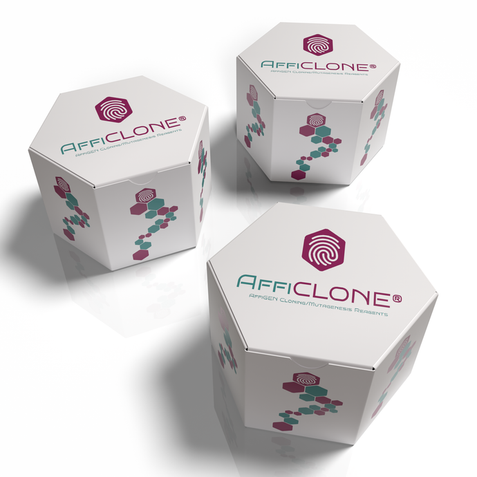 AffiCLONE® 5 min TA/Blunt-Zero Cloning Kit