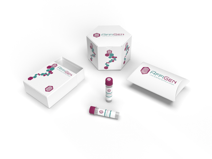 AffiDETECT® Annexin V-FITC/PI Apoptosis Detection Kit