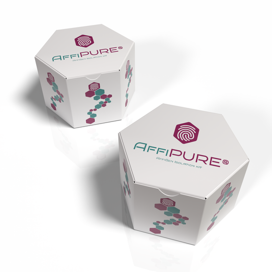 AffiPURE® Plant DNA Isolation Mini Kit