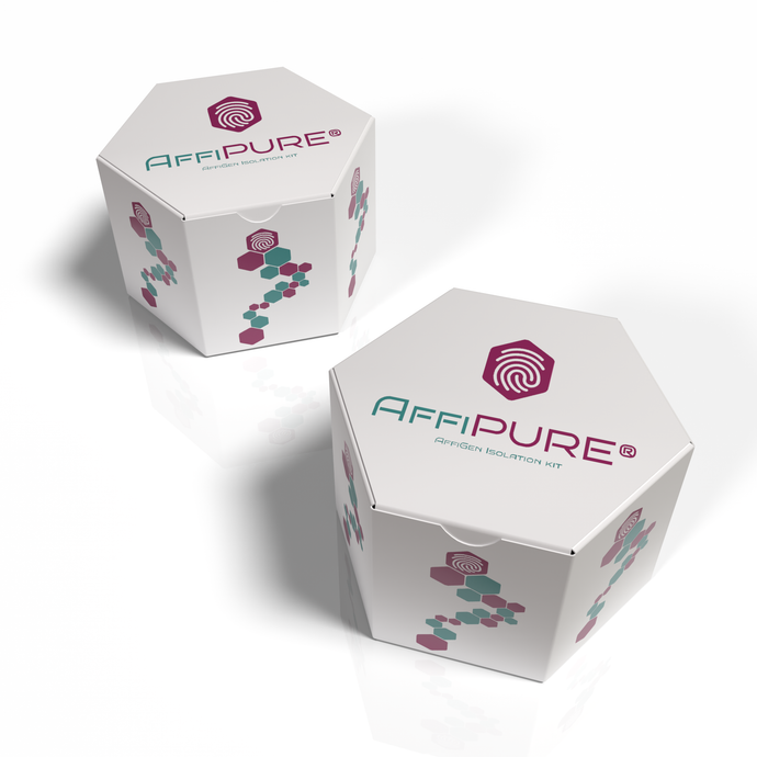 AffiPURE® Cell/Tissue DNA Isolation Mini Kit