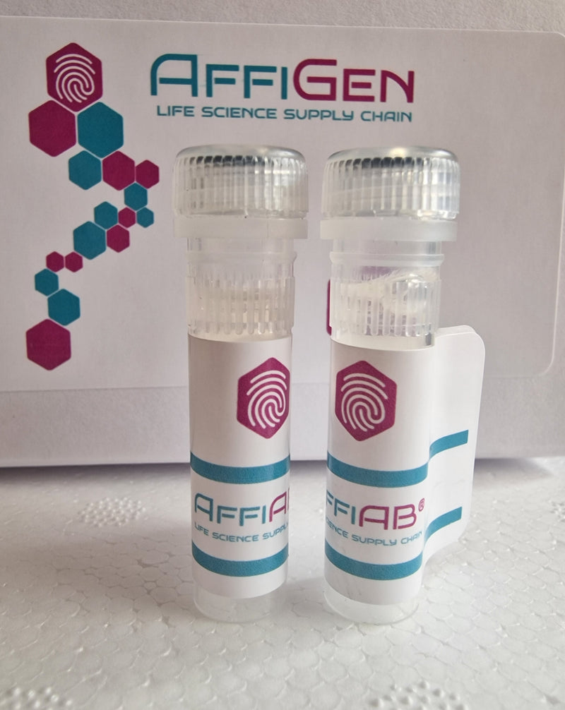 Load image into Gallery viewer, AffiAB® Goat Anti-mRuby Polyclonal Antibody