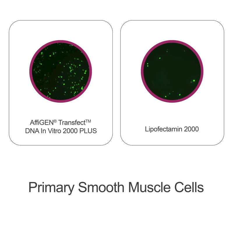 Load image into Gallery viewer, AffiGEN® Transfect(TM) DNA In Vitro 2000 Plus