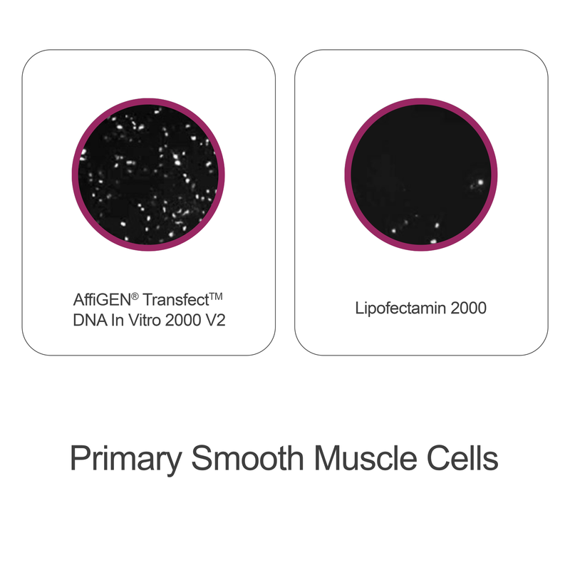 Load image into Gallery viewer, AffiGEN® Transfect(TM) DNA In Vitro 2000 V2