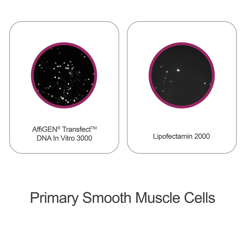 Load image into Gallery viewer, AffiGEN® Transfect(TM) DNA In Vitro 3000