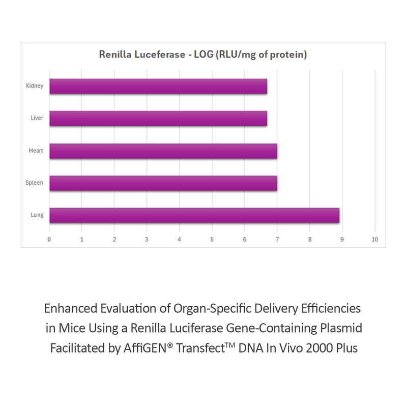 Load image into Gallery viewer, AffiGEN® Transfect(TM) DNA In Vivo 2000 Plus