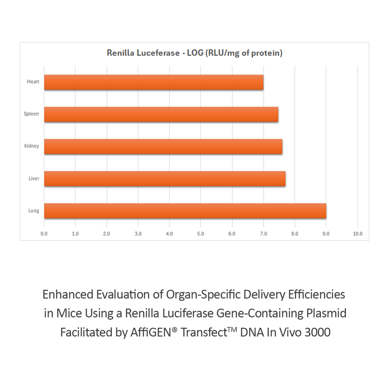 Load image into Gallery viewer, AffiGEN® Transfect(TM) DNA In Vivo 3000