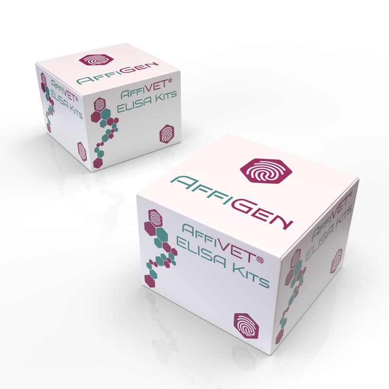 Load image into Gallery viewer, AffiVET® Peste des petits ruminants virus (PPRV) antibody ELISA kit