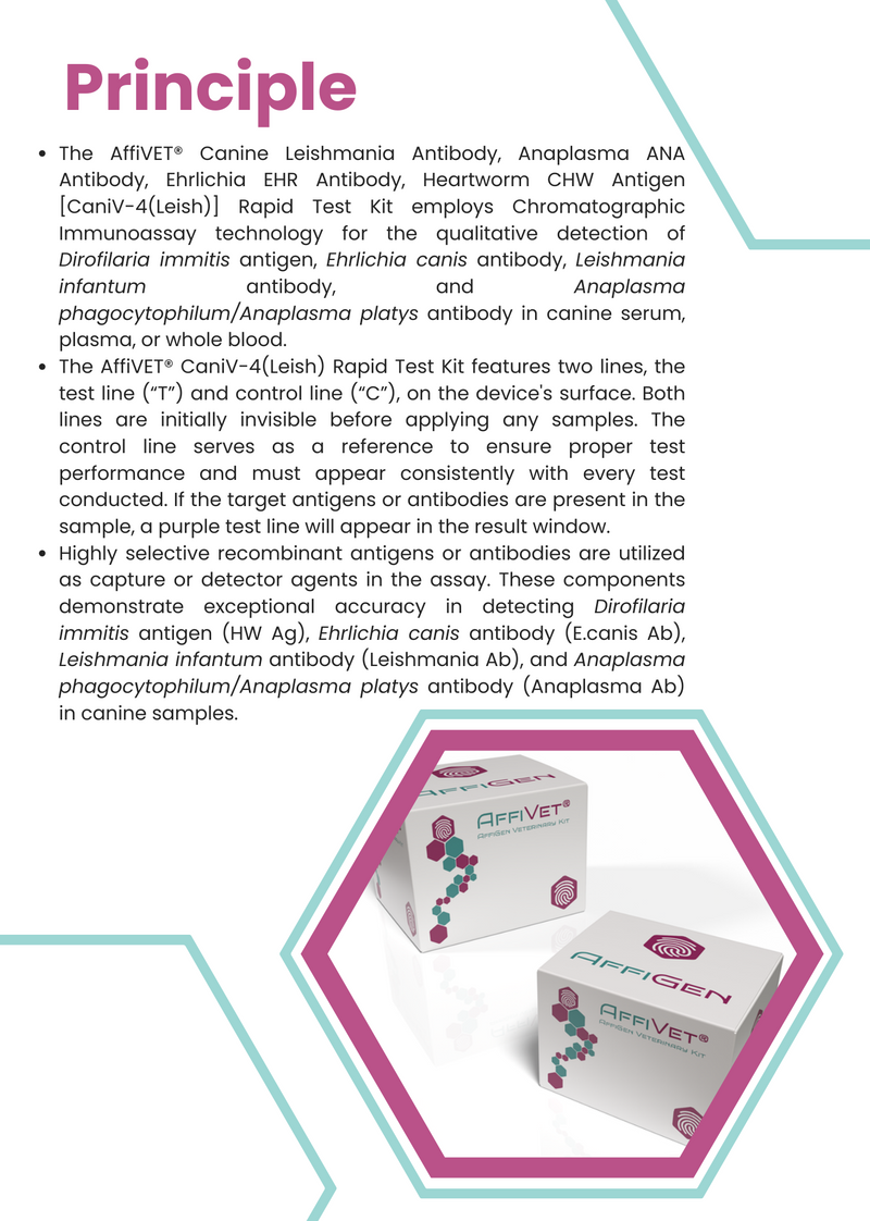 Załaduj obraz do przeglądarki galerii, AffiVET® Canine Leishmania Antibody, Anaplasma ANA Antibody, Ehrlichia EHR Antibody, Heartworm CHW Antigen Rapid Test Kit