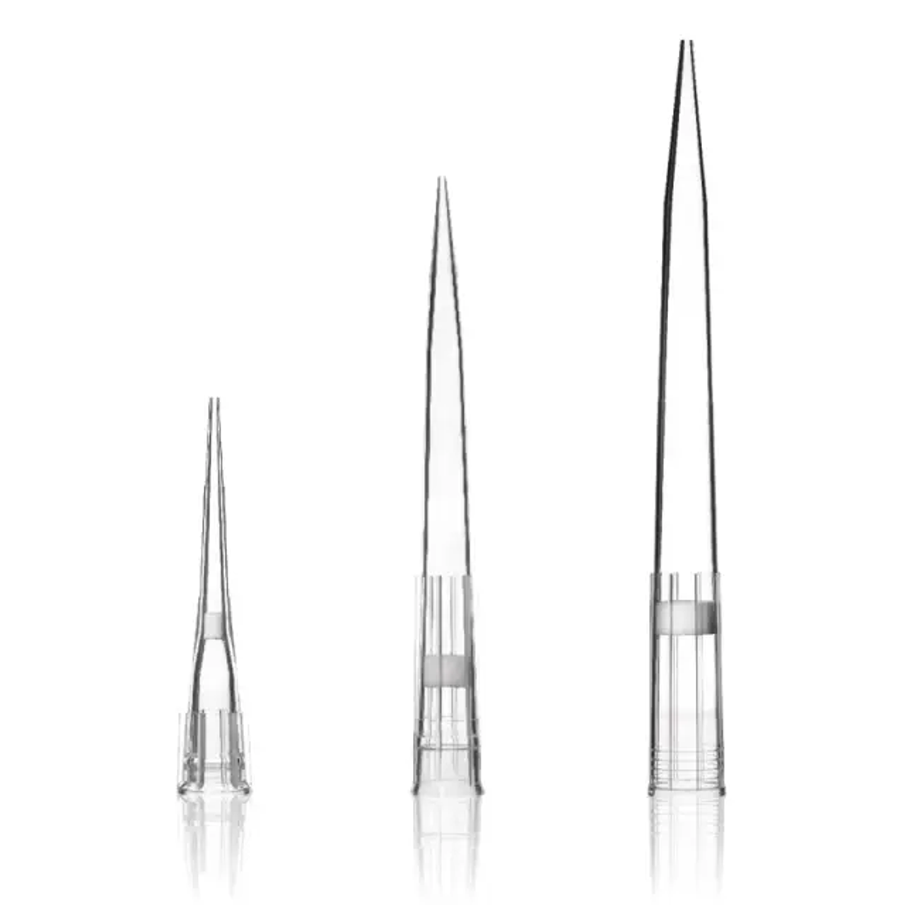 Punte Per Pipette Con Filtro Corning® Isotip® 0.2-10 UL, Universal Fit - Foto 13