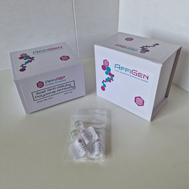 Load image into Gallery viewer, AffiAB® Goat Anti-mRuby Polyclonal Antibody