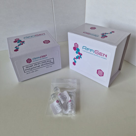 AffiAB® Goat Anti-mRuby Polyclonal Antibody