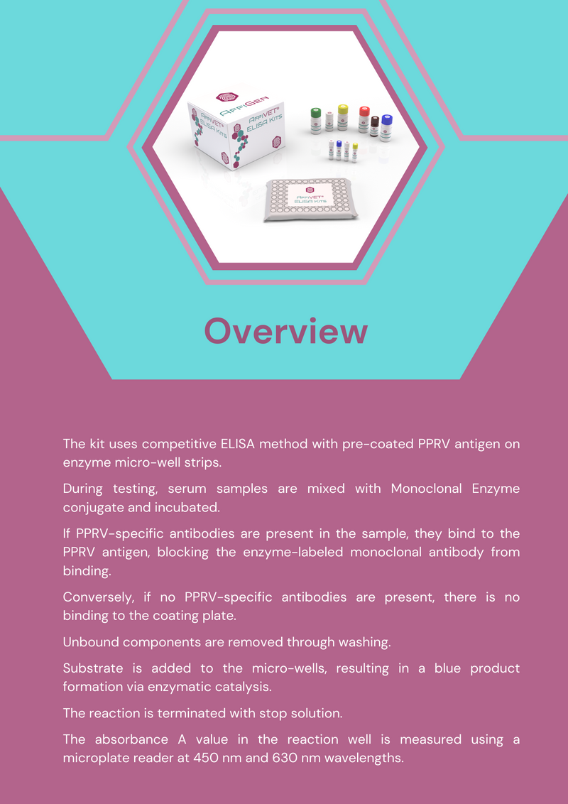 Load image into Gallery viewer, AffiVET® Peste des petits ruminants virus (PPRV) antibody ELISA kit

