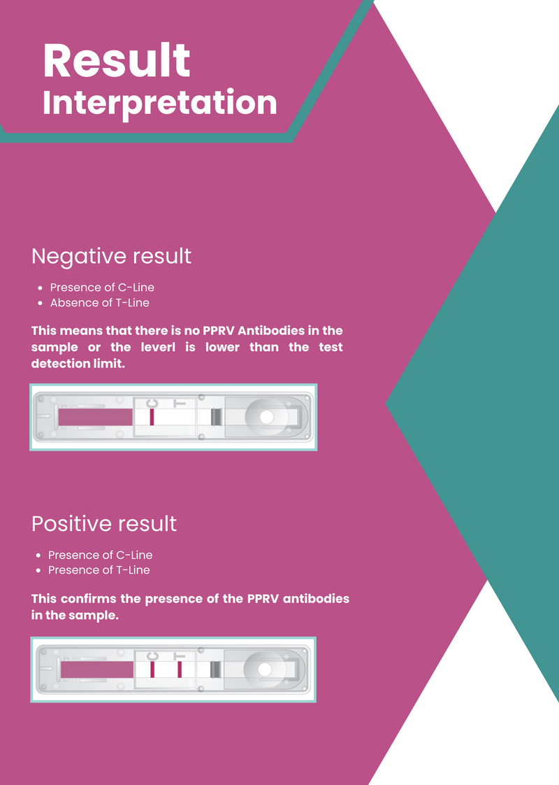 Load image into Gallery viewer, AffiVET® Peste Des Petits Ruminants Virus (PPRV) Antibody Rapid Test