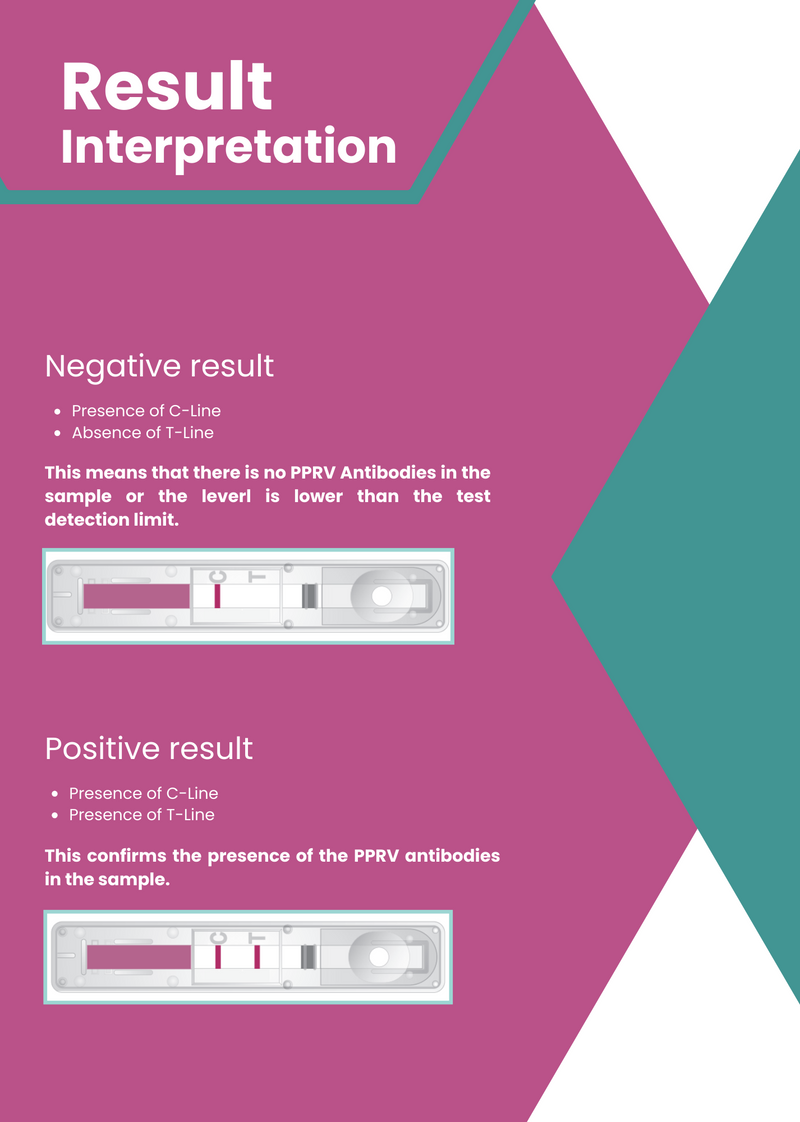 Load image into Gallery viewer, AffiVET® Peste Des Petits Ruminants Virus (PPRV) Antibody Rapid Test
