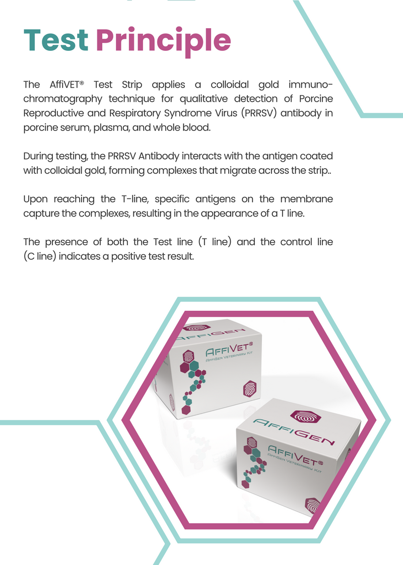 Load image into Gallery viewer, AffiVET® PRRS virus antibody rapid test card
