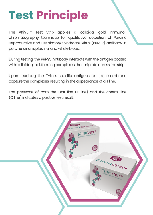 AffiVET® PRRS virus antibody rapid test card