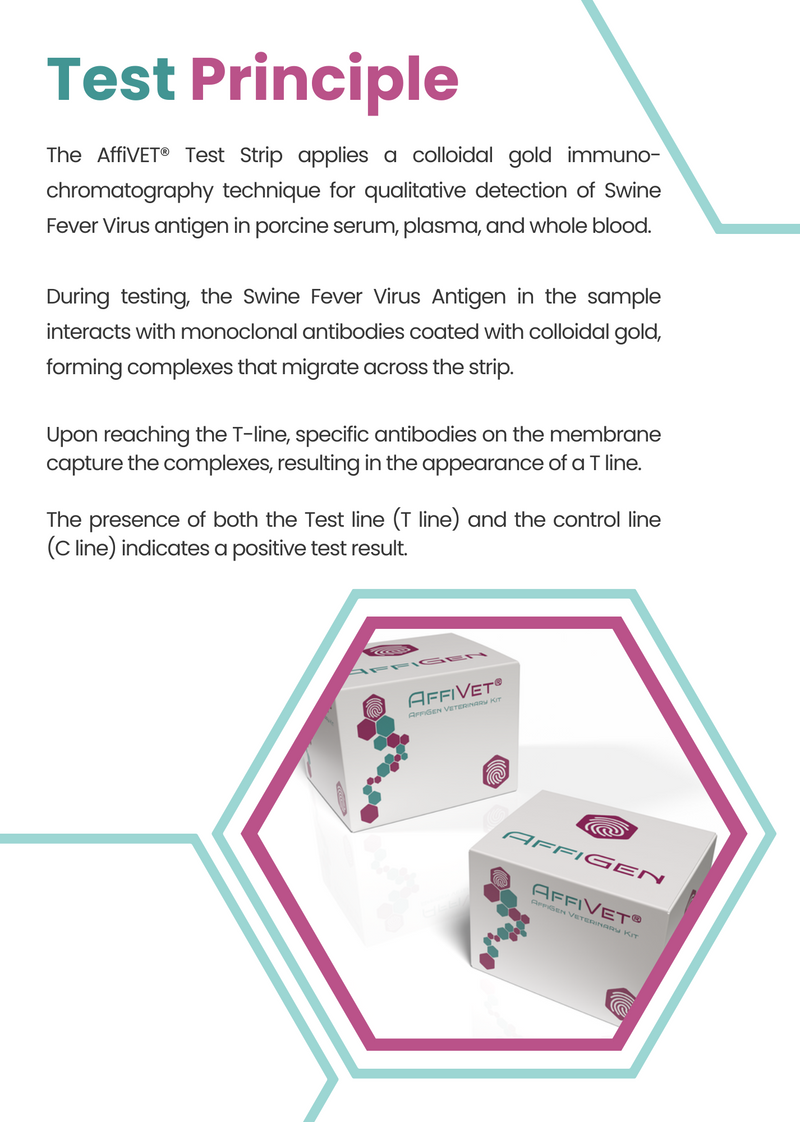 Load image into Gallery viewer, AffiVET® Swine Fever Virus Antigen Rapid Test