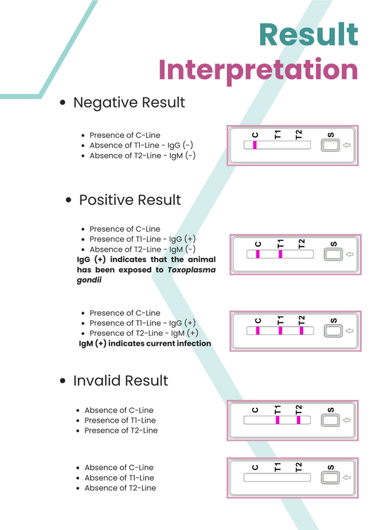 AffiVET® Canine & Feline Toxoplasma Gondii IgG & IgM Antibodies Rapid Test