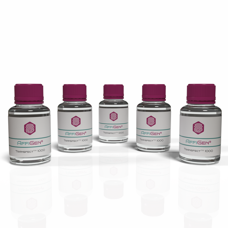 Load image into Gallery viewer, AffiGEN® Transfect(TM) siRNA In Vitro 1000 Plus