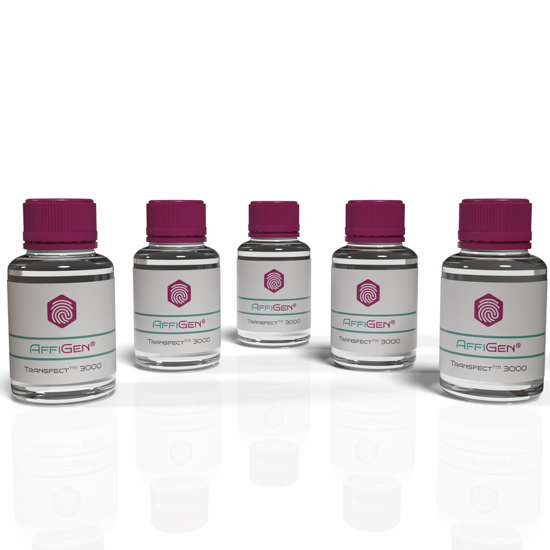 Load image into Gallery viewer, AffiGEN® Transfect(TM) siRNA In Vitro 3000