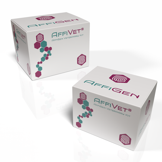 AffiVET® Bovine And Goat Brucella Antibody Rapid Test (Also Work On Pet And Pig Sample)