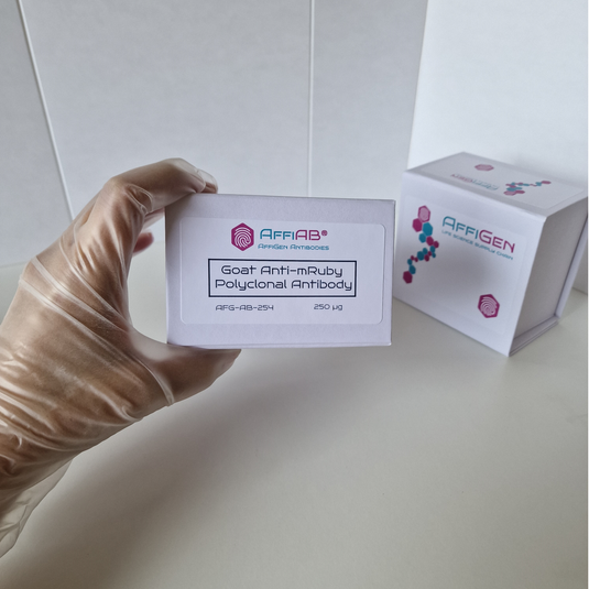 AffiAB Goat Anti-mRuby Polyclonal Antibody for detection of mRuby-tagged proteins in immunofluorescence and cell imaging