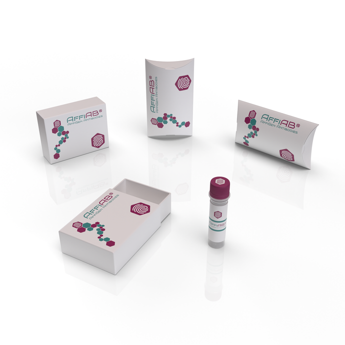 dsRNA Antibodies: Gold Standard for Detection & QC