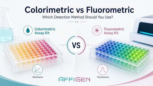 Colorimetric vs Fluorometric Assay Kits: Which Detection Method Should You Use?