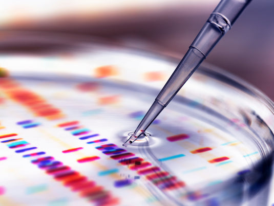 pMXs-IRES-Bsd Retroviral Vector: A Practical Guide to Stable Gene Expression and Blasticidin Selection