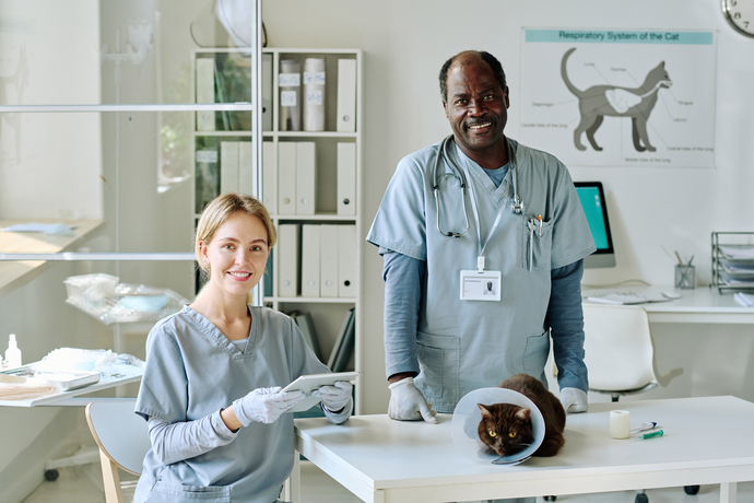 The Evolution of Veterinary Rapid Testing: From Traditional Methods to Cutting-Edge Diagnostics
