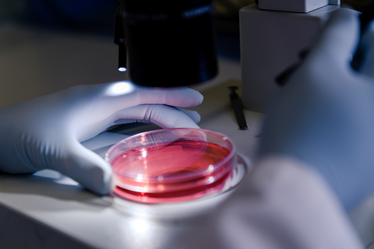 Brain Production What are the primary technical challenges in scaling up the production ...