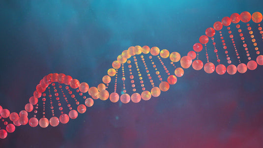 A Complete Guide to High-Sensitivity dsDNA Measurement with Qubit® and the AffiGEN® 1X dsDNA HS Assay Kit