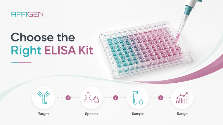How to Choose the Right ELISA Kit for Your Research