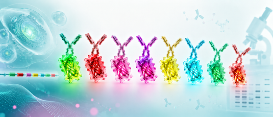 Goat polyclonal antibodies for fluorescent protein tag detection including GFP, RFP and mCherry