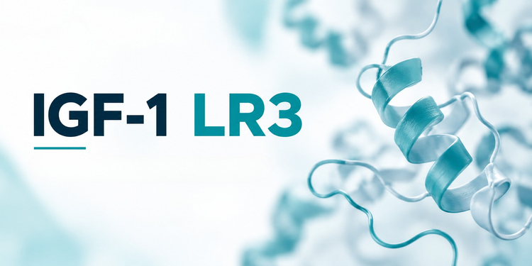 IGF-1 LR3: What It Is, How It Works, Uses & Safety