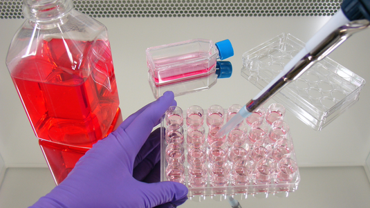 Are there any industry collaborations using organoids to evaluate the effectiveness of drugs in development?