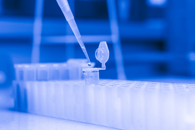 PCR, RT-PCR, qPCR and PCR Kits