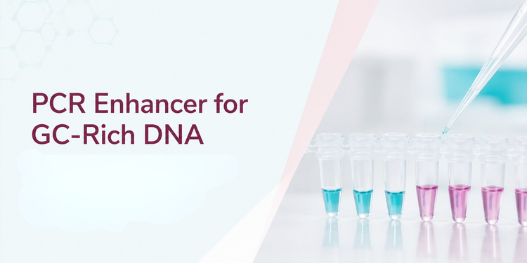 PCR Enhancer: Improve GC-Rich & Difficult PCR Amplification