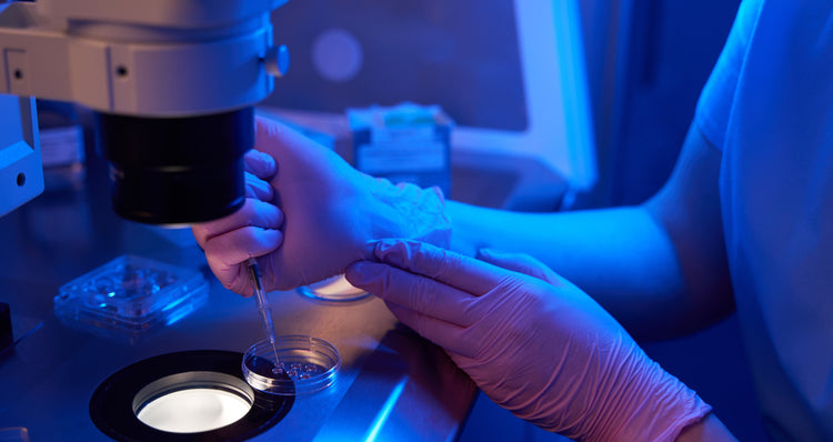 What Is a Plasmid ? Function, Uses and Plasmid DNA Purification