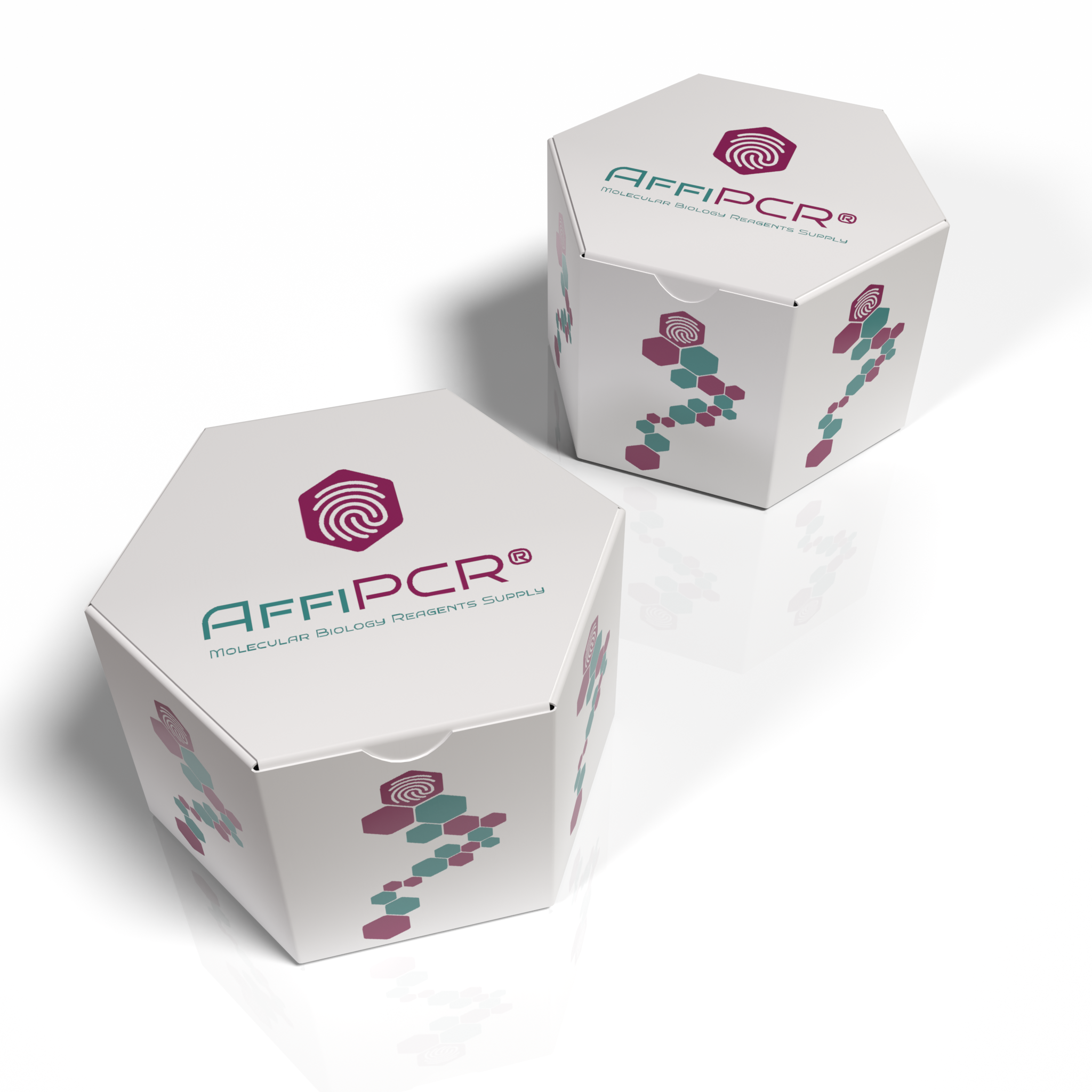 Conventional PCR – AffiGEN