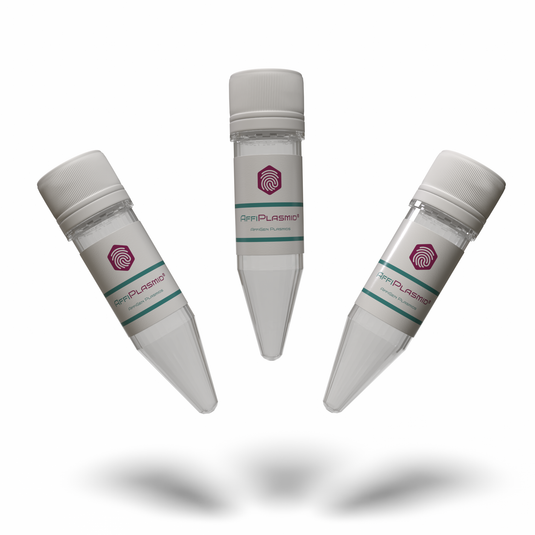 AffiPLASMID®