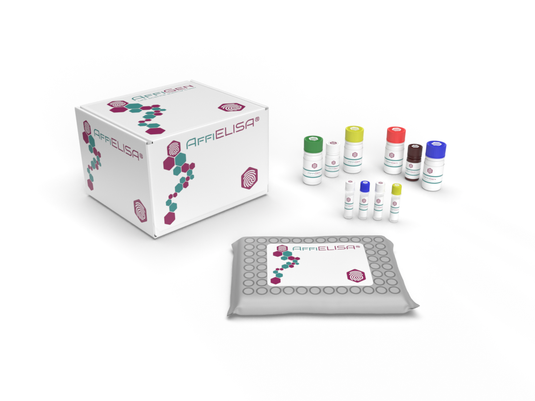 AffiELISA® Human Protein ATP1B4 ELISA [ ATP1B4]