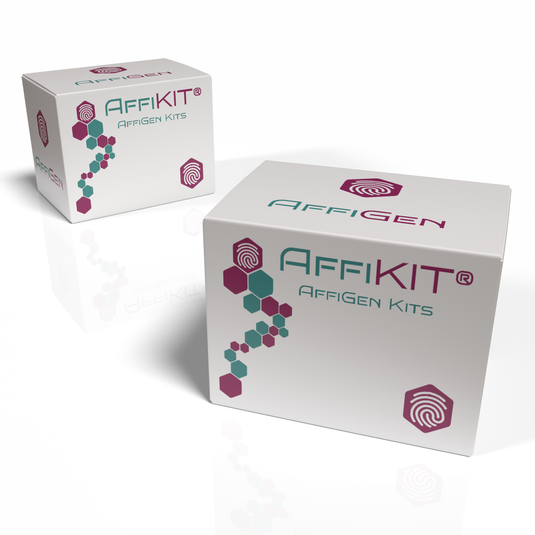 AffiKIT® 1st Strand cDNA Synthesis Kit (gDNA digester plus)