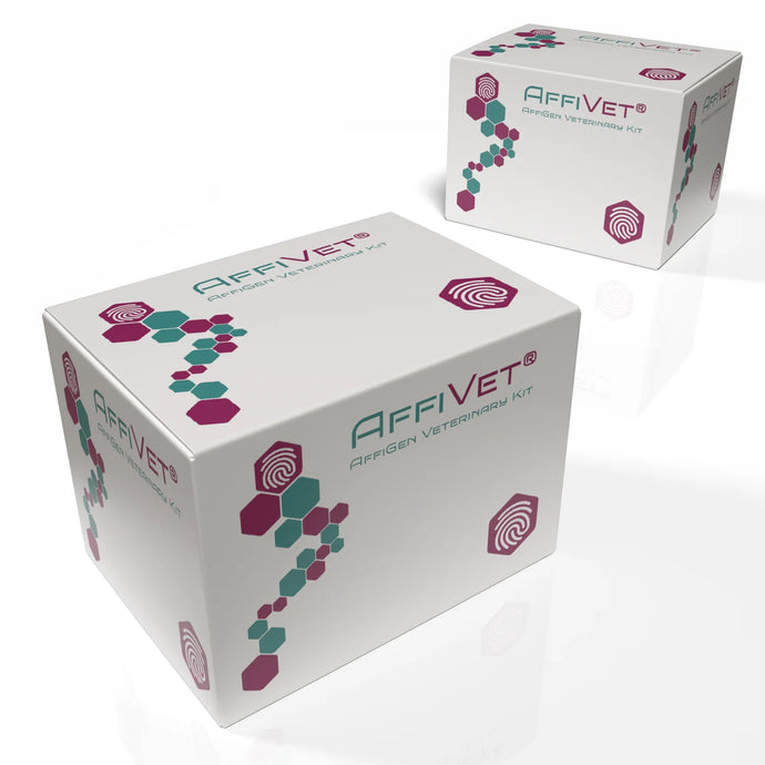 AffiVET® ASFV Indirect Antibody ELISA Kit