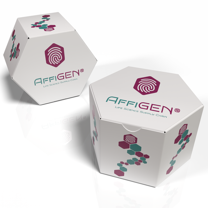 AffiGEN® T7 High Yield RNA Transcription Kit