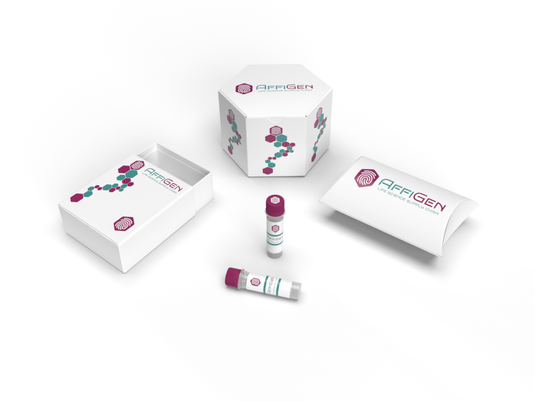 AffiDETECT® ® Annexin V-FITC/PI Apoptosis Detection Kit