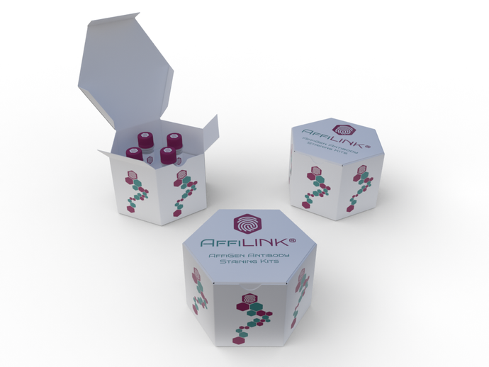 AffiLINK® Biotin Dye Antibody Labeling Kit