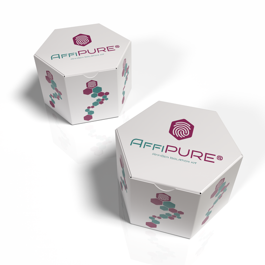 AffiPURE® Gel DNA Extraction Mini Kit