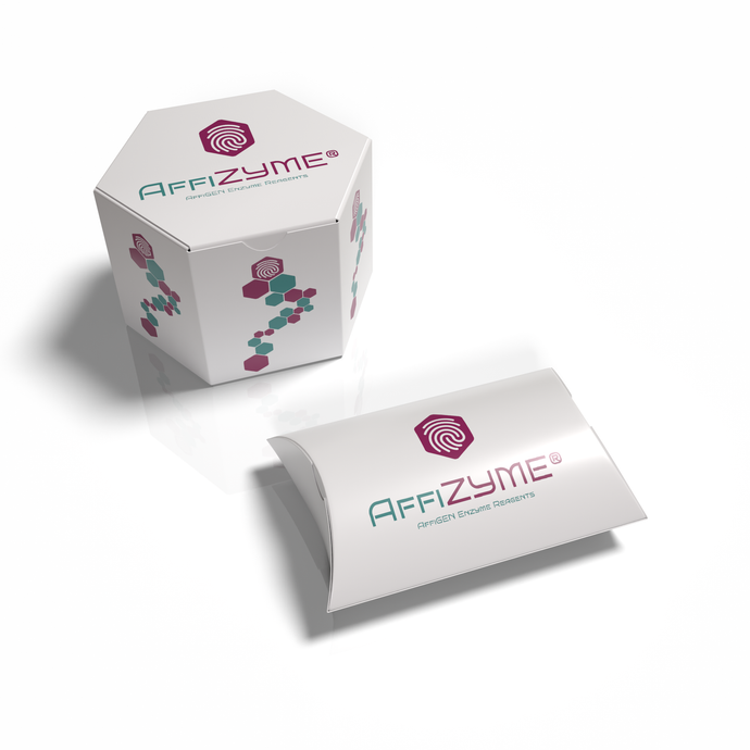 AffiZYME® Cystathionine-β-lyase